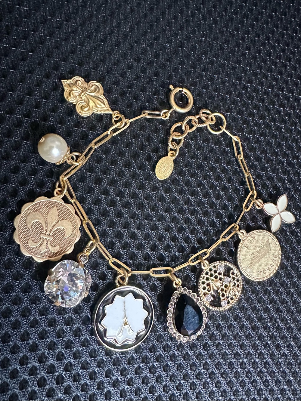 Brand New Catherine Popesco Charm Bracelet